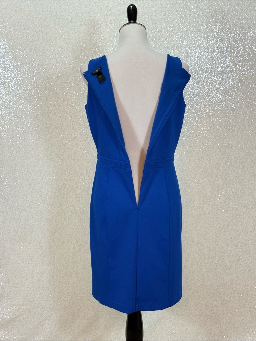 Ann Taylor Petite 8P Royal Blue Sheath Dress Gold Hardware Career Cocktail Midi - Picture 7 of 14
